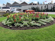 Enlarge photo 38