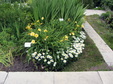 Enlarge photo 53