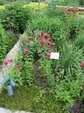 Enlarge photo 40