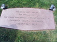 Enlarge photo 57