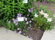 Enlarge photo 45