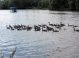 Enlarge photo 25