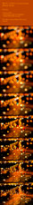 Enlarge photo 113