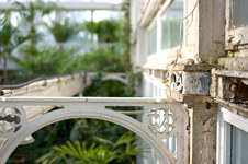 Enlarge photo 110