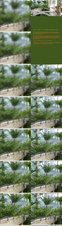 Enlarge photo 111