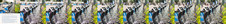 Enlarge photo 116
