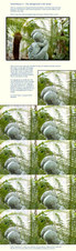 Enlarge photo 117