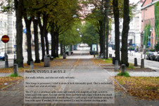 Enlarge photo 44