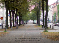 Enlarge photo 67