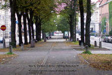 Enlarge photo 68