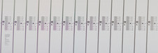 Enlarge photo 73