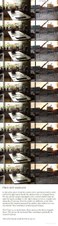 Enlarge photo 103