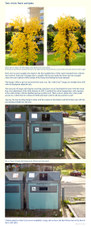 Enlarge photo 106