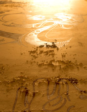 Enlarge photo 135