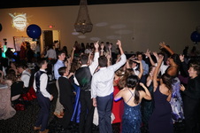 Enlarge photo 315