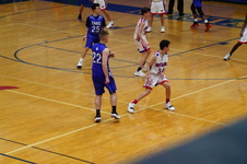 Enlarge photo 221