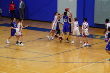 Enlarge photo 231