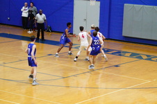Enlarge photo 119