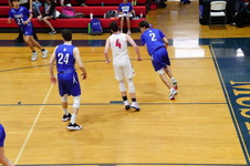 Enlarge photo 446