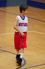 Enlarge photo 240