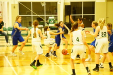 Enlarge photo 105