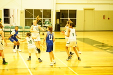 Enlarge photo 135
