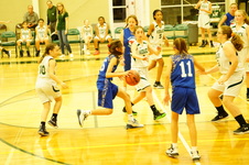 Enlarge photo 141
