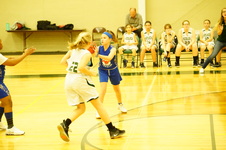 Enlarge photo 245