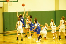 Enlarge photo 399