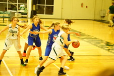 Enlarge photo 449