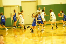 Enlarge photo 473