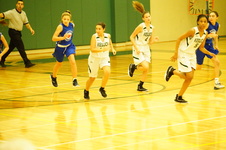 Enlarge photo 483