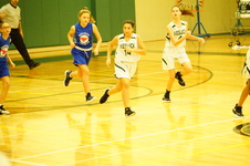 Enlarge photo 484