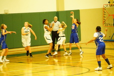 Enlarge photo 532