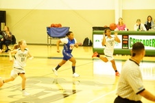 Enlarge photo 535