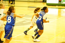 Enlarge photo 599