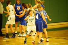 Enlarge photo 736