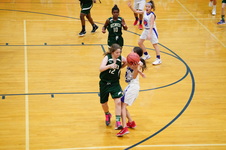 Enlarge photo 151