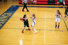 Enlarge photo 235