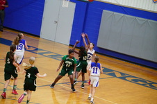 Enlarge photo 249