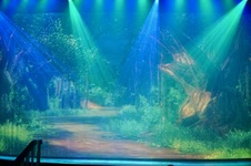 Enlarge photo 15