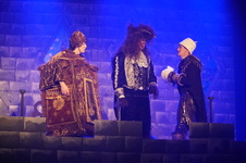 Enlarge photo 242