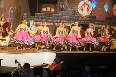 Enlarge photo 359