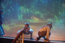 Enlarge photo 45
