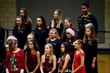 Enlarge photo 51