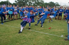Enlarge photo 495