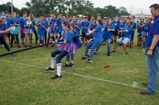 Enlarge photo 498