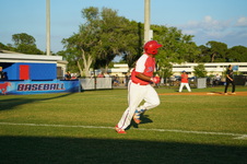Enlarge photo 113