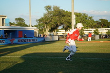 Enlarge photo 224
