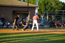 Enlarge photo 262